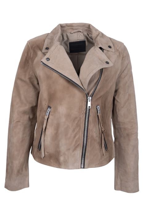 SUEDE DALBY BIKER WARM GREY by AllSaints