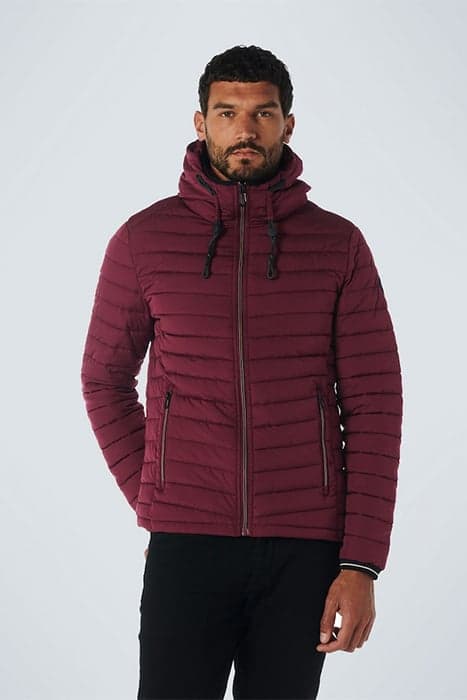 JACKET HOODED SHORT FIT PADDED DARK RED by No Excess