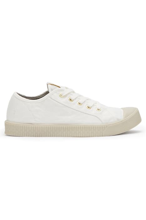 CLEMMY SNEAKER WHITE by AllSaints