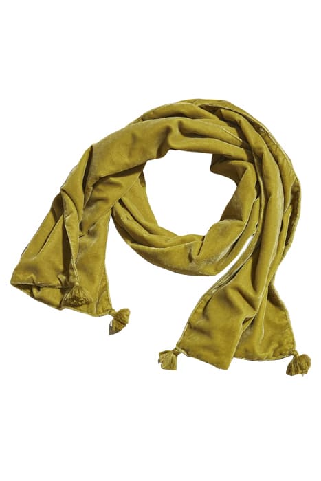 PLAIN VELVET SCARF MID CHARTREUSE by White Stuff