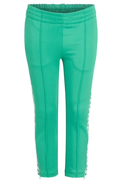 GAM - SBTRAIN PANTS GREEN by Shoeby