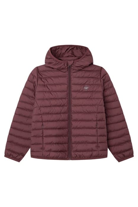 ESSENTIAL PUFFA MAROON RED by Hackett London