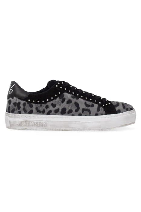 BLACK LEOPARD MOTIF SUEDE STUDDED TRAINERS by IKKS