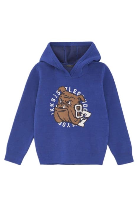 BOYS’ BLUE INTARSIA BULLDOG KNIT SWEATER by IKKS