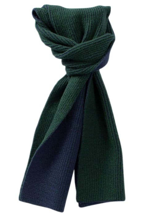 ROYAL BLUE AND IMPERIAL GREEN TWO-SIDED SCARF by ICODE