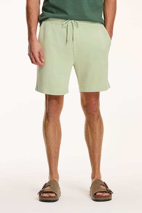 STEVE SHORTS DUST GREEN by Shiwi