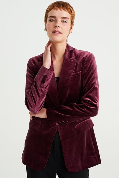 BLAZER DARK PURPLE by WE Fashion