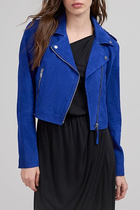 COBALT SUEDE BIKER-STYLE JACKET by IKKS