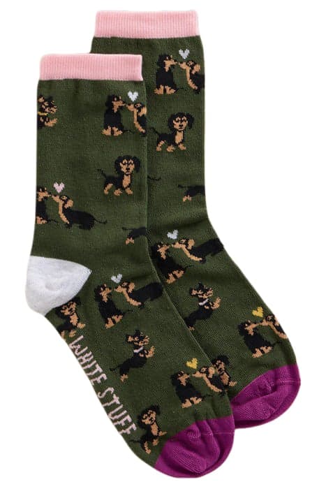 KISSING SAUSAGE DOG ANKLE SOCK GREEN MULTI by White Stuff