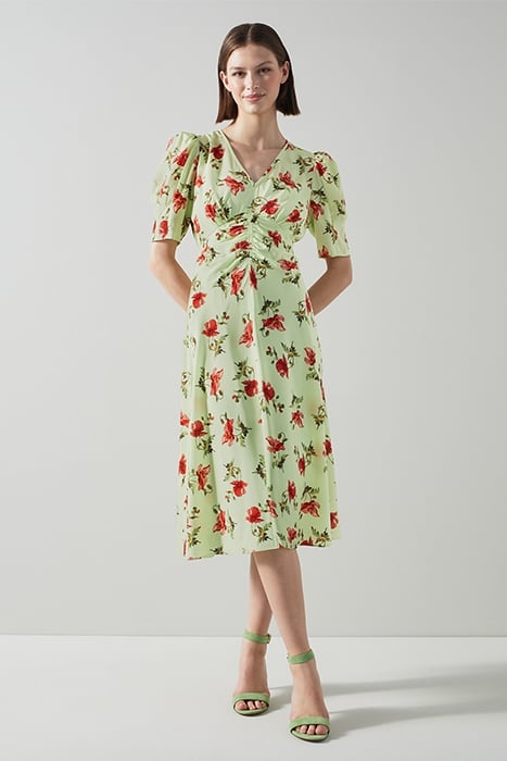 DR GABBI - GIANT POPPY GREEN 1