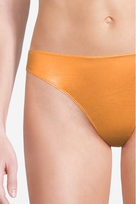 LAMINATED BIKINI BOTTOM RAME 4