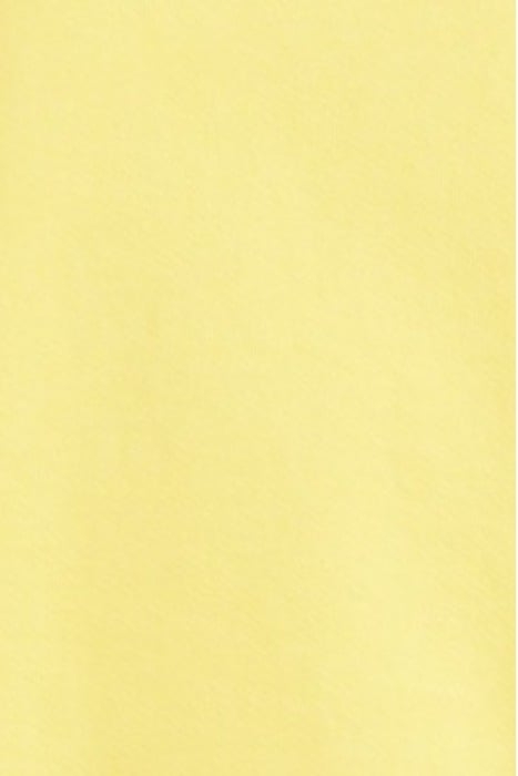 ROUND COLLAR SHORT-SLEEVES SWEATSHIRT ANANAS VINTAGE 5