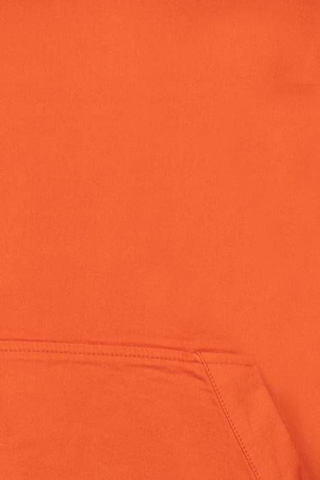 M. WASHED SWEATSHIRT TERRA 6